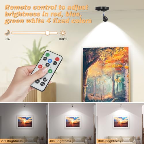Aptmapt APT-TL-006GRB 2 Pack Wireless Spot Lights Indoor With Remote, Up Lights Indoor Floor Spotlight Picture Light thumb #2