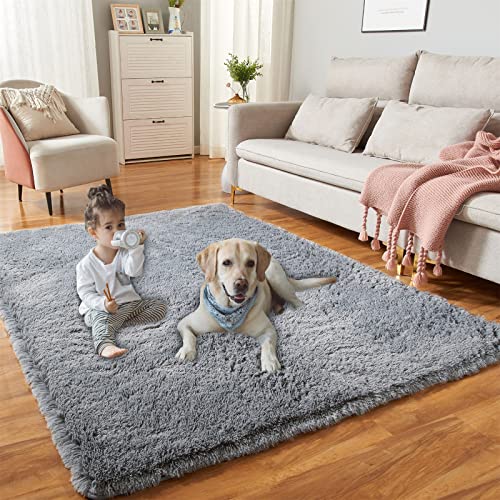 Yqqrigro 8X10 Feet Rugs For Bedroom, Dark Grey Super Soft Shaggy Rugs Fluffy Carpets, Indoor Modern Plush Area Rugs For Living Room Dorm Kids Room, Fuzzy Non-Slip Rugs For Kids Boys Girls #TOP3