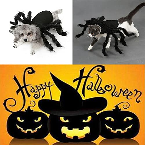 Disfraz de Araña para Perro Halloween Talla M miniatura 3