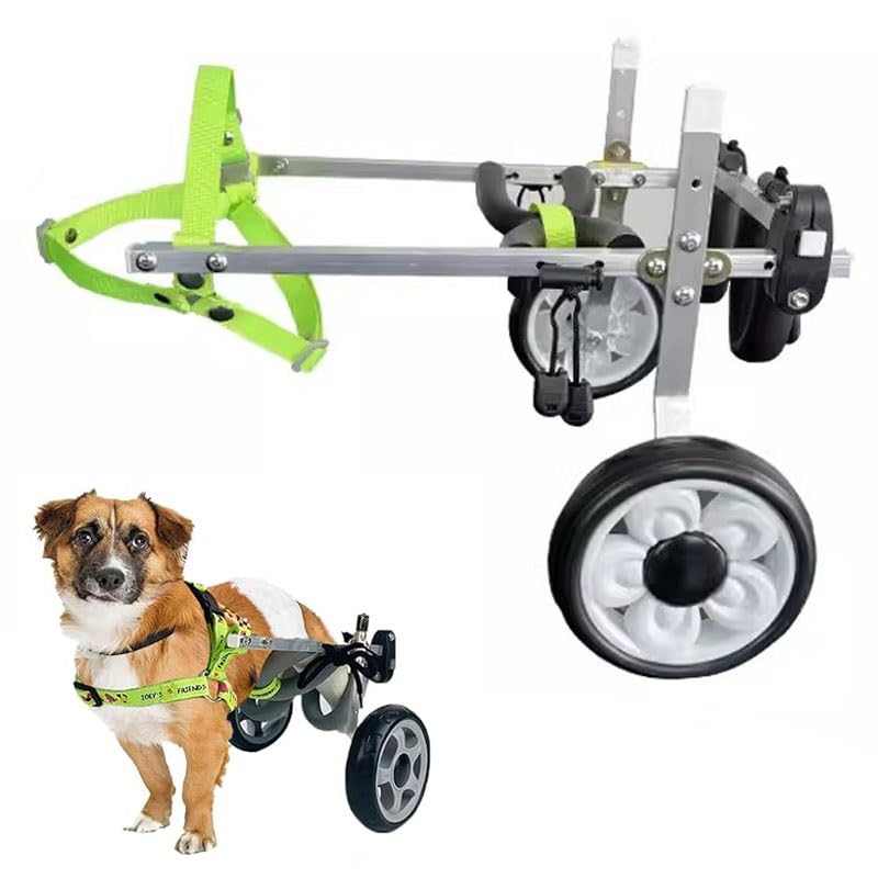 Chien handicapé ? Fauteuil roulant pour petits chiens et aide à la mobilité active