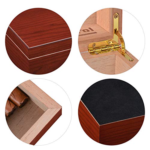 Volenx Cigar Humidor Case, Humidor Cigar Box with Hygrometer and Humidifier, Cedar Lined Cigar Case Hold 25 Cigars