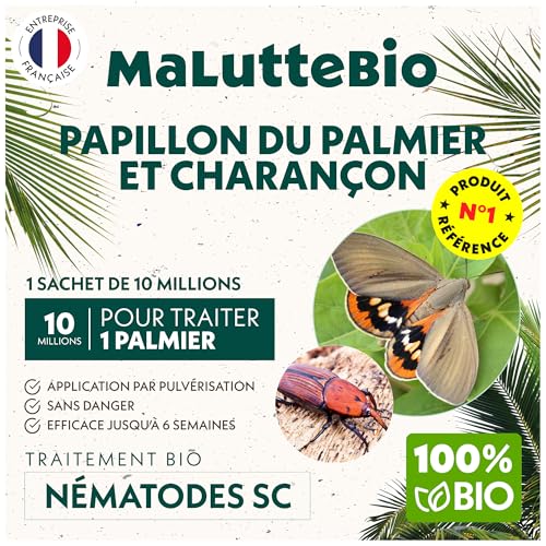 Nématodes contre le Papillon du palmier et le Charançon Rouge - Nematodes palmier - Pour traiter 1 palmier - 10M