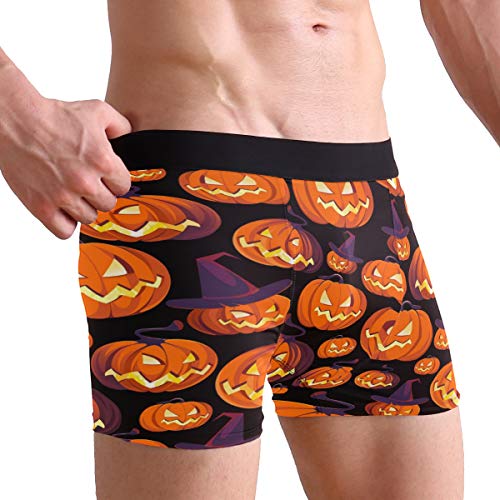 ZZKKO Raccoon Mens Boxer Briefs Underwear Breathable Stretch Boxer Trunk with Pouch S-XXL2