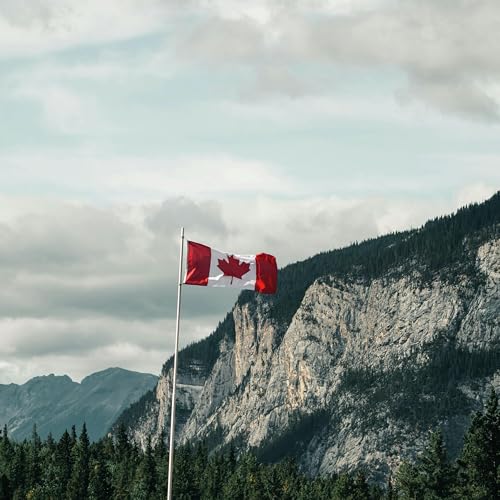 Canadian Identity | Trucker Training Failures | Auto Industry's Future | Liberal Voting Irregularities
