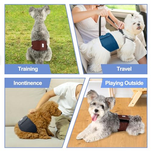 Image of Reusable Dog Diapers Male 3Pcs, Premium Washable Belly Bands for Male Dogs XSmall, High Absorbing Male Dog Wraps for Doggie & Puppy in Incontinence, Excitable Urination and Training XS