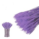 【Regali Perfetti】 Le bellissime composizioni floreali sembrano fresche e naturali.L'erba della pampa può essere utilizzata come regalo per la tua famiglia e i tuoi amici per la festa della mamma,San Valentino,Natale,compleanni e altre feste e occasioni speciali.cerimonia di apertura del centro commerciale.