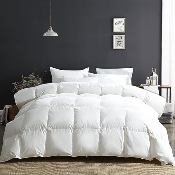 APSMILE Oversized King Luxury 100% Organic Cotton All Season Down Feather Fibers Comforter, High Fill-Power Medium Warmth Duvet Insert (120x98, Ivory White) by APSMILE - Used condition - CA$178.17