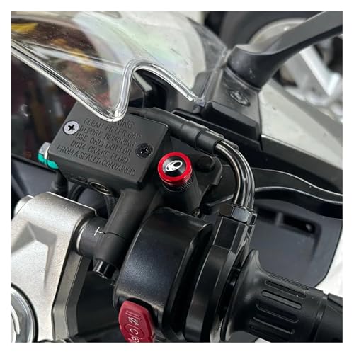 Tornillos M10x1.25 para espejo de moto Xciting 250 y Downtown 125 CNC 5