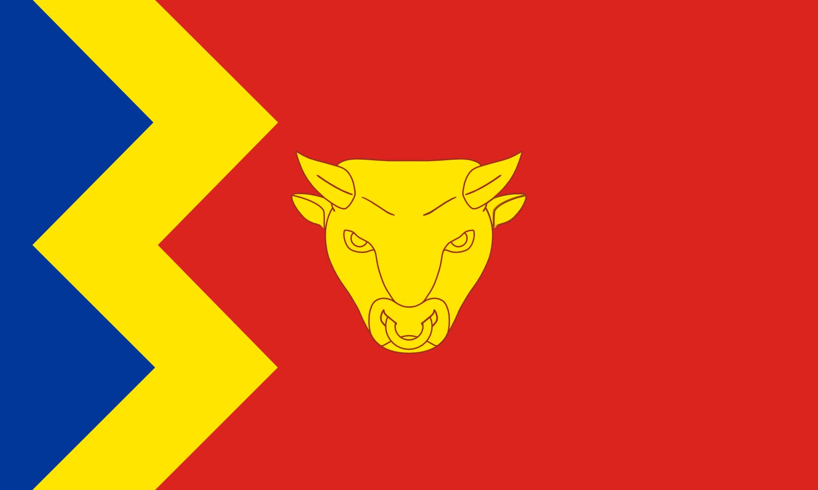 Drapeau de Birmingham grand format une idée cadeau originale pour fan de football