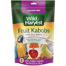Wild Harvest Fruit Kabobs for All Birds, 6 Count, Made with Real Carrot, Cherry and Cranberry with Edible Skewer, 0.52 Ounce Pack of 6