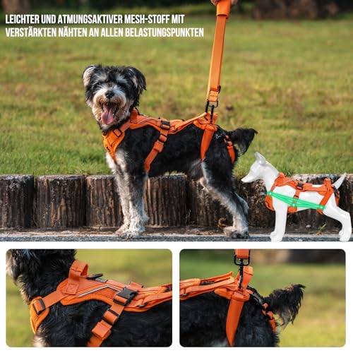 OneTigris Hundegeschirr, Hopper Kleines Unterstützung Geschirr Einstellbares Hebegeschirr mit 2 Griffen für Unterstützung und Rehabilitation Geeignet für Kleiner Hund Orange S