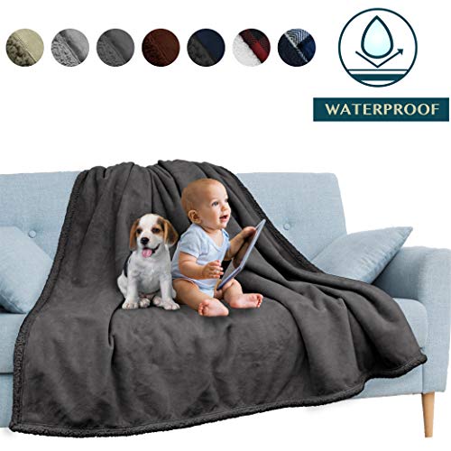 PAVILIA Waterproof Blanket, Pee Proof Blanket Protector Cover for Sofa, Couch, Bed, Baby, Pets, Dogs, Cats | Reversible Soft Plush Sherpa Fleece Throw 60x80 Inches, Charcoal