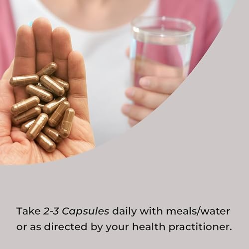 Miniatura 9 de ROOTED Active's Reishi - Extracto de hongos en polvo (60 cápsulas vegetales), certificado orgánico por USDA y la UE  30% beta-glucanos - verificado