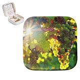 Gioielli Organizer Box PU cuoio Piccolo caso di gioielli Uva Sole Sunbeam Frutta Vines