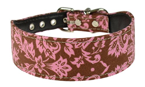 Evans Collars 1 1/4C`^݁ATCY18A_}XNA`R[gsN