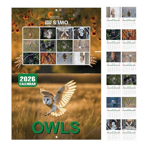 szaluyk Owl Calendar 2026-12-Month Owl Calendar | Jan - Dec 2026, Large Ruled Blocks, Planner for Gym School Workplace Home Planning Scheduling