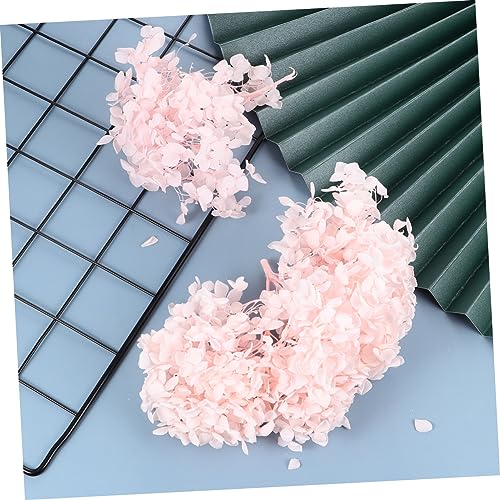 Pétalos secos naturales de hortensia para decoración miniatura 6