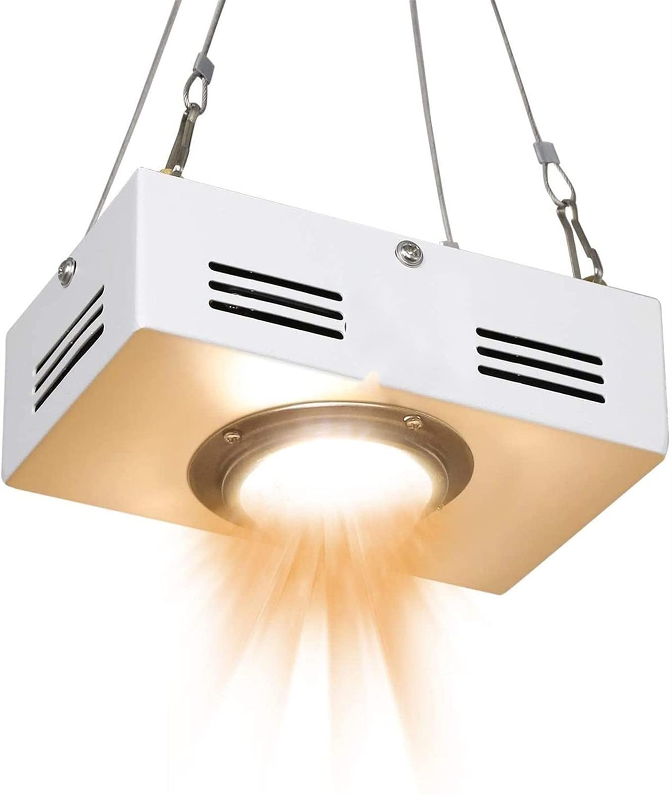 Lampe végétale LED Grow Grow Light Spectrum complet pour une plante de serre hydroponique intérieure Toutes la croissance de la scène remplace la lampe en croissance lumières en croissance pour les pl