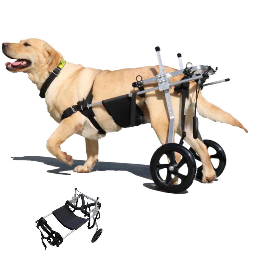 Silla de ruedas para perros grandes de 2 ruedas con soporte regulable