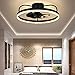 ACLBLK Nowoczesny akrylowy wentylator sufitowy do domu lampa LED bezstopniowa ściemnianie wentylator abs żyrandol pilot sztuka żelazna wentylator światło do willi sypialnia salon jadalnia biuro pokój