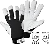 Stulpe mit Klettverschluss L+D Griffy 1707-7 Nappaleder Montagehandschuh Größe (Handschuhe): 7, S EN 388, EN 511 CAT II 1 Paar