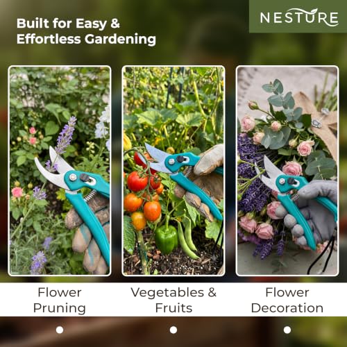 Image of Plant Cutter for Garden Heavy Duty | Garden Scissors & Pruners for Plants | Branch Cutter for Home Gardening (Green)