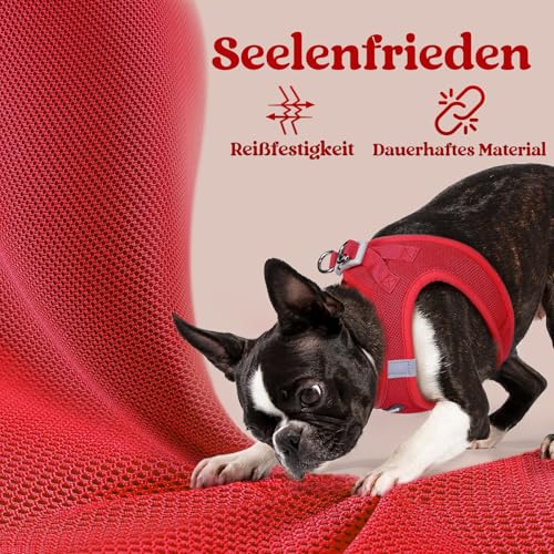 rabbitgoo Hundegeschirr Kleine Hunde, Step-in Welpengeschirr Weich Mesh für Spaziergänge, Atmungsaktives und Reflektierendes Brustgeschirr für Kleine und Mittelgroße Hunde, Rot, S