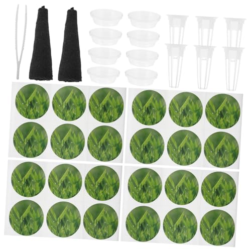 Milisten 1set Vasi Per Con Design Fessurato Per Coltivazione Piante Per Giardino Balcone e Vivai