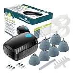 AllPondSolutions Outdoor Koi Fish Pond Air Pump Kit Air Stones Included, Air Hose, Return Valve 30 Litre/Minute Flow Rate