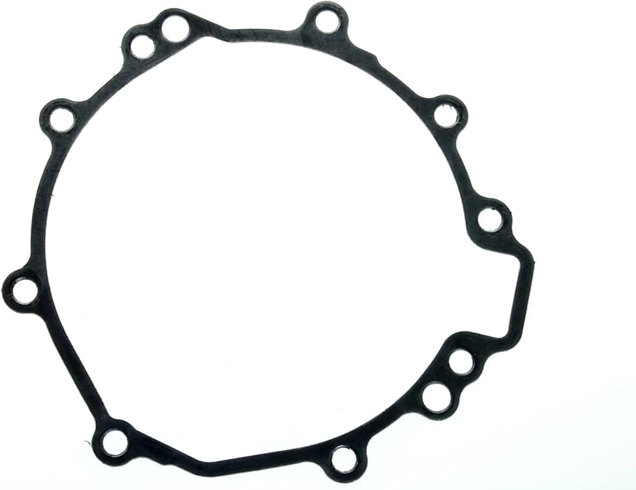 Amazon.com: OEM Stator Generator Cover Gasket 11061-0249
