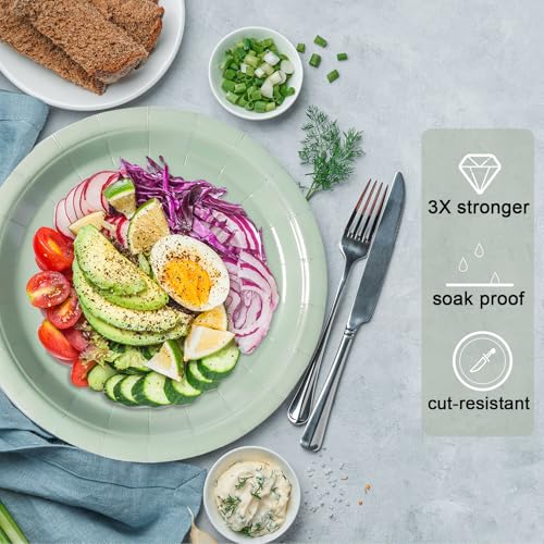 Image of Sage Green Disposable Paper Plates, 9 Inch Dinner Plates, 50 Count Bulk