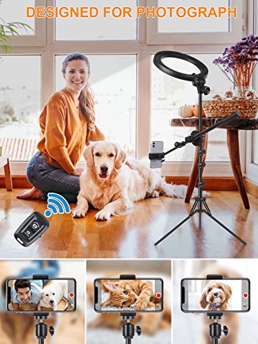 10.5" Selfie Ring Light With Stand And Phone Holder With Tripod Stand & Cell Phone Holder,Overhead Camera Phone Mount Led Halo Circle Lights For Live Stream/Makeup/Youtube/Tiktok/Photo/Video Recording #TOP3