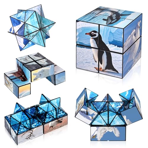 Euclidean Cube 2 in 1 Magic Cube Set, Fidget Toy for Kids Adults, Yoshimoto Cube for Ages 8-12, Arctic/Antarctic Animals Puzzle Cube Fun Toy for Boys Girls (Polar Series)