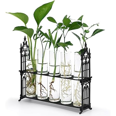 Qmetalart Gothic Propagation Stations Plant Terrarium in Metal Stand Tube Vase for Hydroponic Plants Cutting Home Office Gothic Dark Home Decor Cover