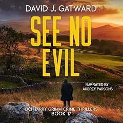 See No Evil cover art