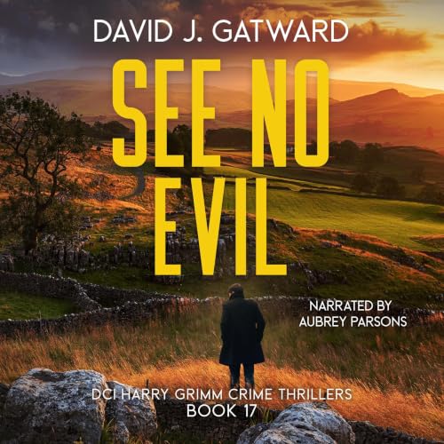 Couverture de See No Evil