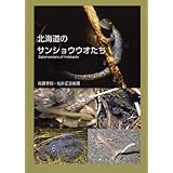 北海道のサンショウウオたち