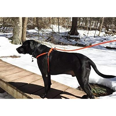 harness lead escape resistant