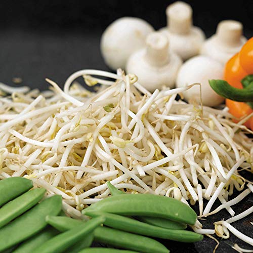 Suttons Beansprouts Mung Bean Seeds, Vegetable Seed, approx. 85g per pack, Grow your own, Ideal for Indoors and Greenhouses