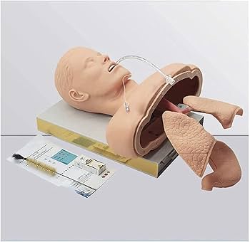 気管内挿管練習キット 気管内挿管練習キット Amazon.co.jp: 気管挿管トレーニング