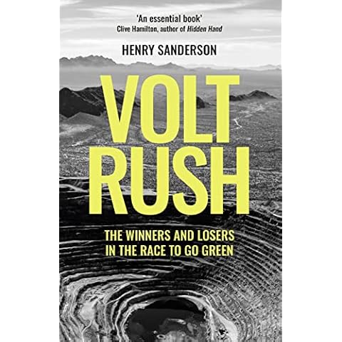 Volt Rush: The Winners and Losers in the Race to Go Green Cover