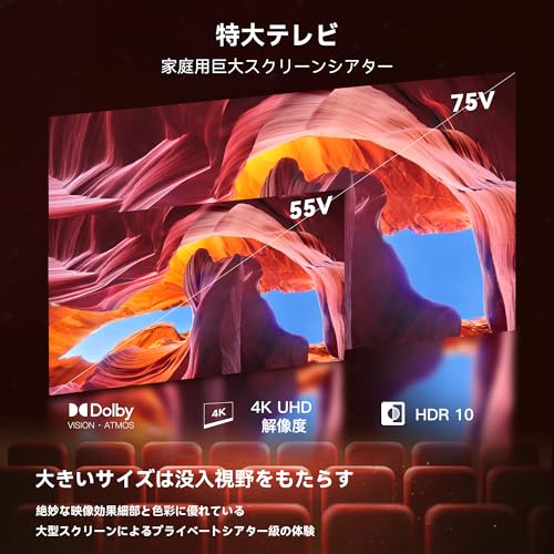 FPD 75V型テレビ 4K Wチューナー内蔵 Google TV スマート