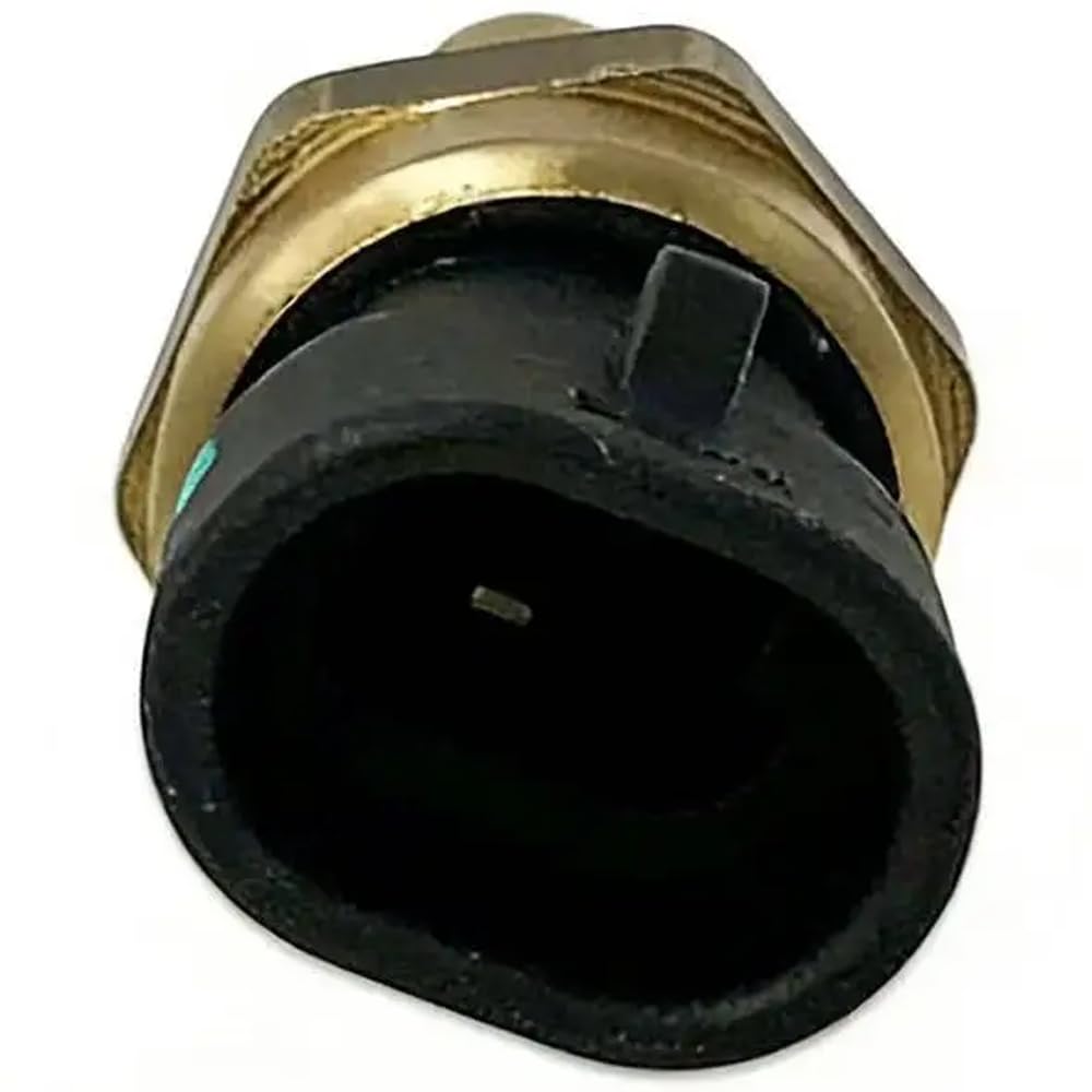 Sensor de temperatura del agua apto for HS 400 P010000391300000