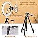 10.2” Selfie Ring Light, Aureday 50” Extendable Tripod Stand with Phone Holder for Makeup & YouTube Live Stream, Dimmable LED Lightning with Remote, Compatible with iPhone & Android Phone Black