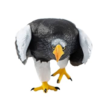 COLLINS★BIRDS OF PREY★猛禽/鷲/鷹/隼/ワシ/タカ/新品 COLLINS☆BIRDS OF PREY☆猛禽/鷲/鷹/隼/ワシ/タカ/新品