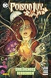 DC COMICS bei Panini Comics