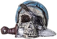 Algopix Similar Product 14 - BioBubble Origins Pirate Skull
