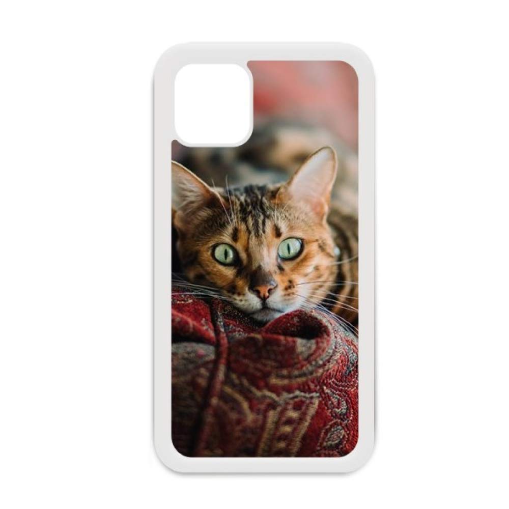 Coque iPhone 12 Pro Max chat vert antichoc avec bords surélevés pour protection écran et objectif