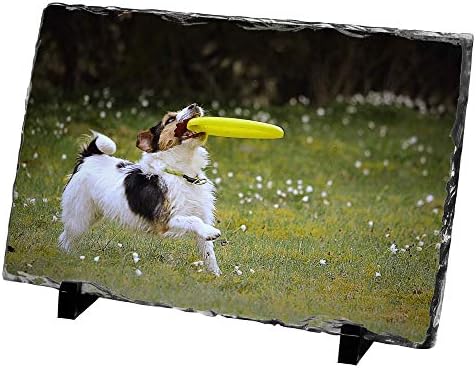 Dalton Designs UK Personalised Rectangle Shaped Glossy Photo Rock Slate - Add Your Own Photo - 15cm x 20cm