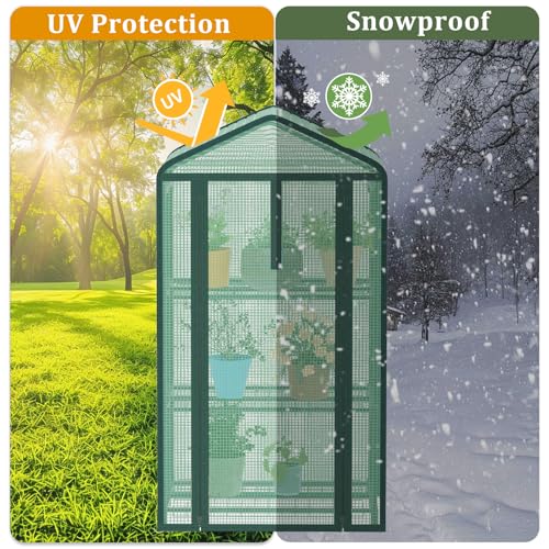 TianC beauty Greenhouse for Indoor Outdoor, Small Plastic Plant Green House 3-Tier Rack Stand Portable Greenhouses with Durable PE Cover for Seedling - Image 3